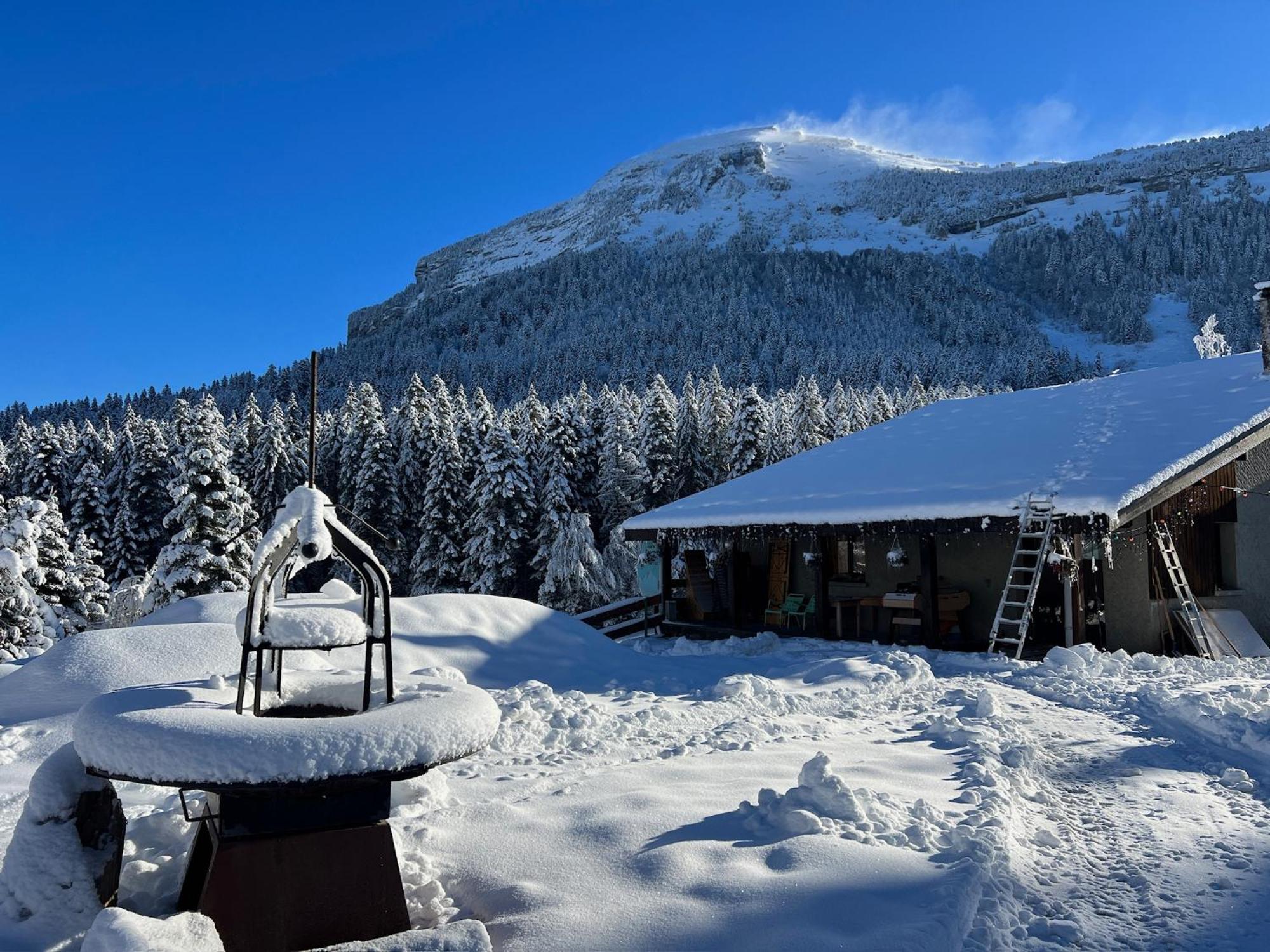 Domaine De Rozan - Col De Porte, Chartreuse - Grenoble Sarcenas Ngoại thất bức ảnh